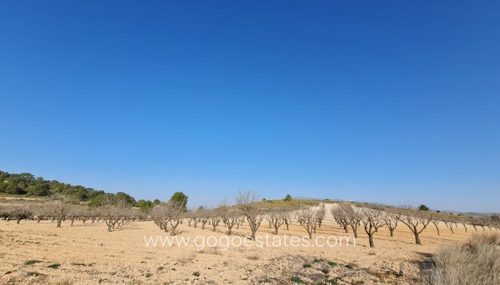 Te koop - Perceel - Land - Jumilla - Jumilla Centro