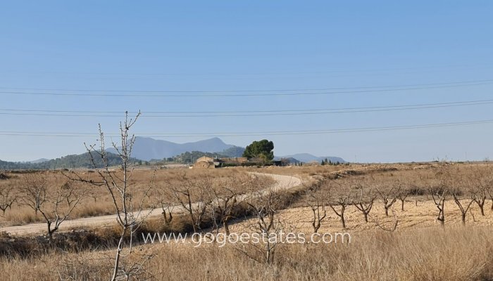 Te koop - Perceel - Land - Jumilla - Jumilla Centro