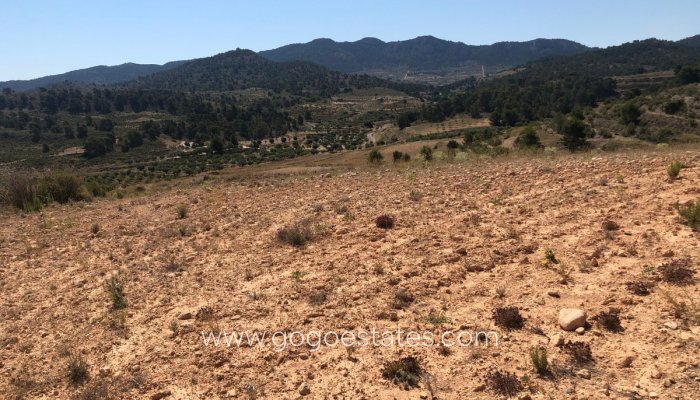 Revente - Terrain - Terrain - Jumilla - La Zarza