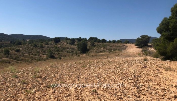 Revente - Terrain - Terrain - Jumilla - La Zarza