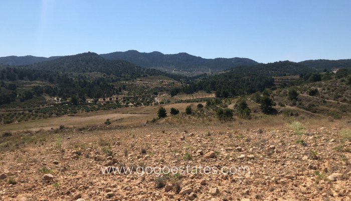 Revente - Terrain - Terrain - Jumilla - La Zarza