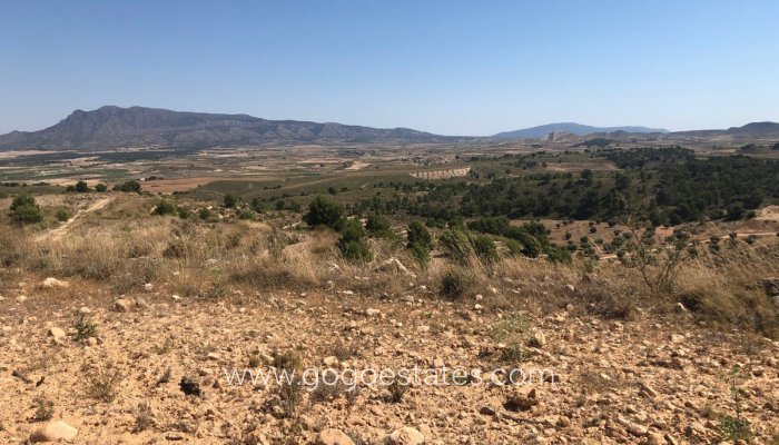 Revente - Terrain - Terrain - Jumilla - La Zarza