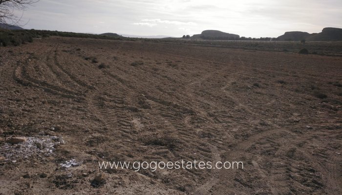 Revente - Commercial - Autre - Yecla - Yecla Centro