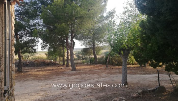 Te koop - Huis - Vrijstaande Villa - Yecla - Yecla Centro