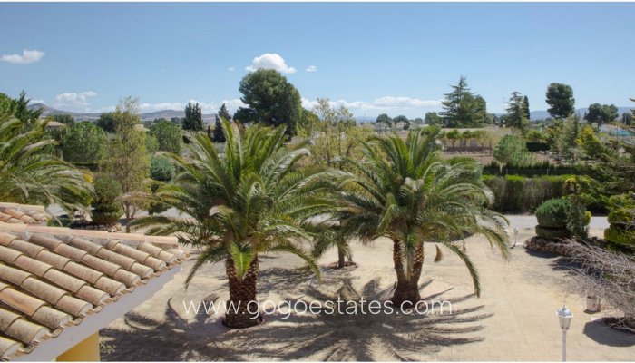 Resale - House - Detached Villa - Yecla - Yecla Centro