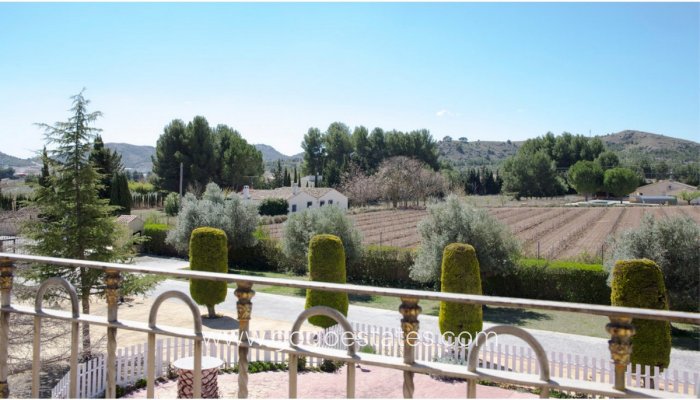 Resale - House - Detached Villa - Yecla - Yecla Centro