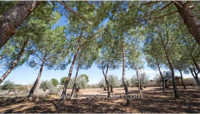 Resale - House - Detached Villa - Yecla - Yecla Centro