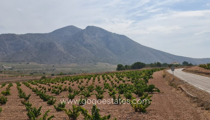 Te koop - Perceel - Land - Murcia - Abanilla Centro