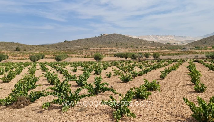 Te koop - Perceel - Land - Murcia - Abanilla Centro