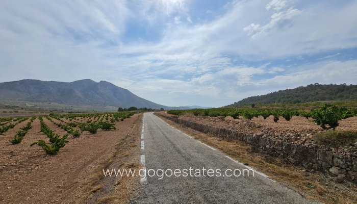 Te koop - Perceel - Land - Murcia - Abanilla Centro