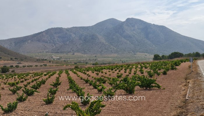 Te koop - Perceel - Land - Murcia - Abanilla Centro