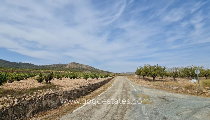 Te koop - Perceel - Land - Murcia - Abanilla Centro