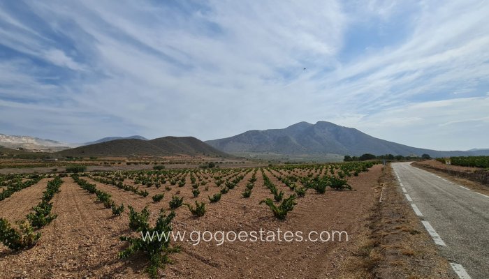 Te koop - Perceel - Land - Murcia - Abanilla Centro