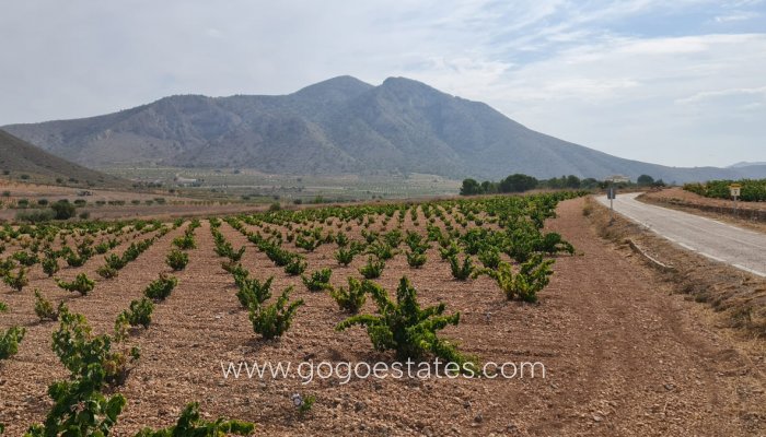 Te koop - Perceel - Land - Murcia - Abanilla Centro