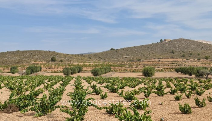 Te koop - Perceel - Land - Murcia - Abanilla Centro