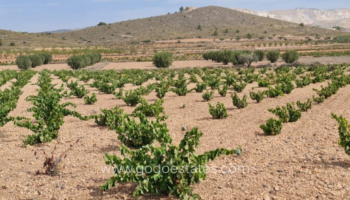 Te koop - Perceel - Land - Murcia - Abanilla Centro