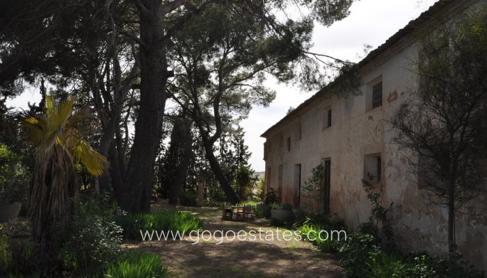 Te koop - Huis - Finca - Cortijo - Yecla - Yecla Centro