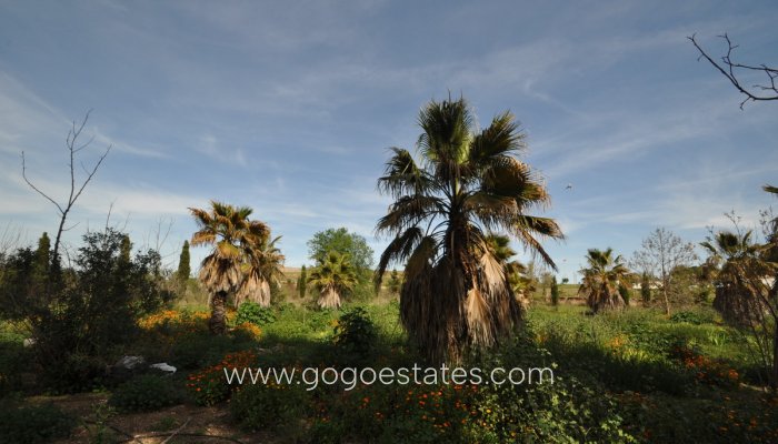 Te koop - Huis - Finca - Cortijo - Yecla - Yecla Centro