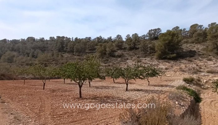 Te koop - Perceel - Land - Murcia - Abanilla Centro