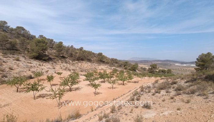 Te koop - Perceel - Land - Murcia - Abanilla Centro