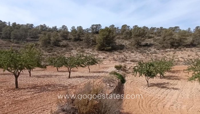 Te koop - Perceel - Land - Murcia - Abanilla Centro