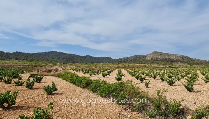 Te koop - Perceel - Land - Murcia - Abanilla Centro