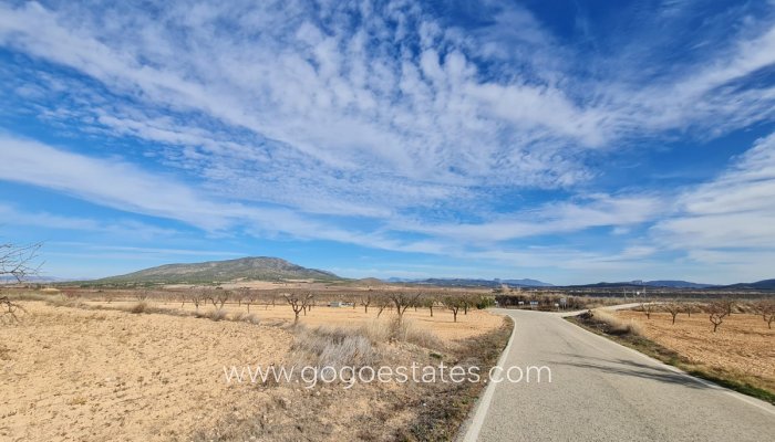 Te koop - Perceel - Land - Yecla - Raspay