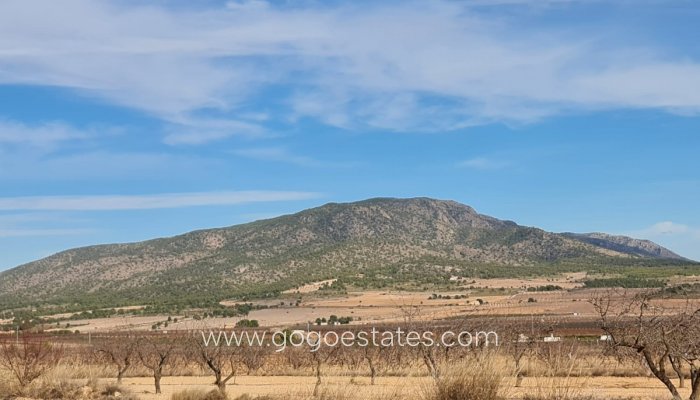 Te koop - Perceel - Land - Yecla - Raspay