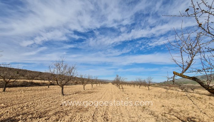 Te koop - Perceel - Land - Yecla - Raspay