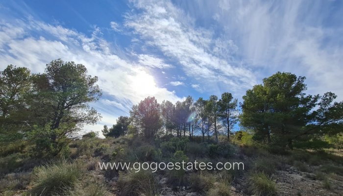 Resale - Plot - Land - Yecla - Raspay