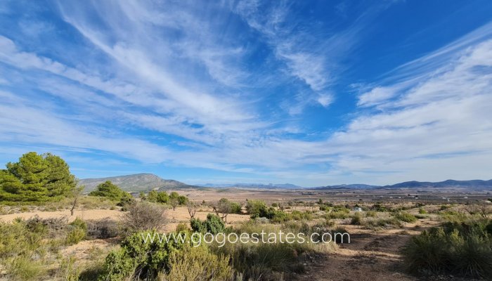 Resale - Plot - Land - Yecla - Raspay