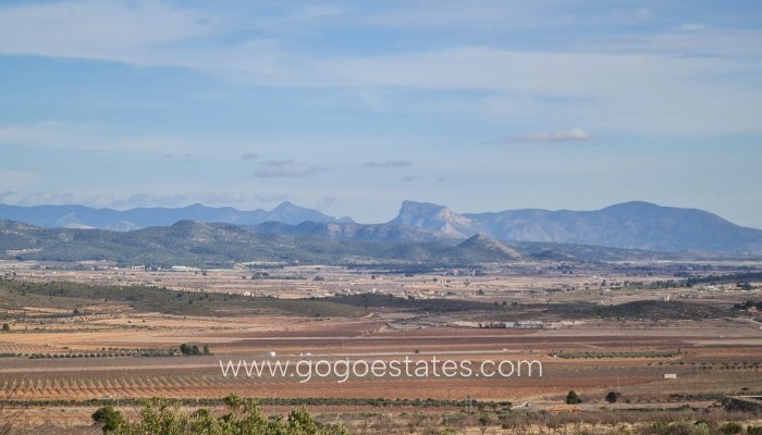 Resale - Plot - Land - Yecla - Raspay