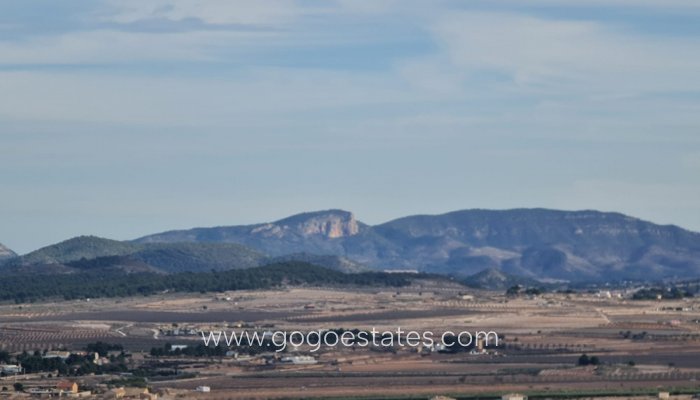 Resale - Plot - Land - Yecla - Raspay