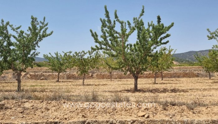 Te koop - Perceel - Land - Yecla - Yecla Centro