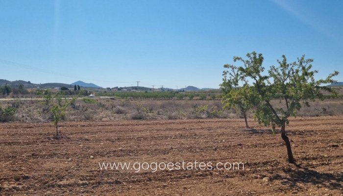 Te koop - Perceel - Land - Jumilla - Jumilla Centro