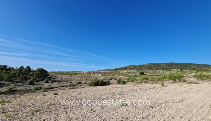 Te koop - Perceel - Land - Yecla - Raspay