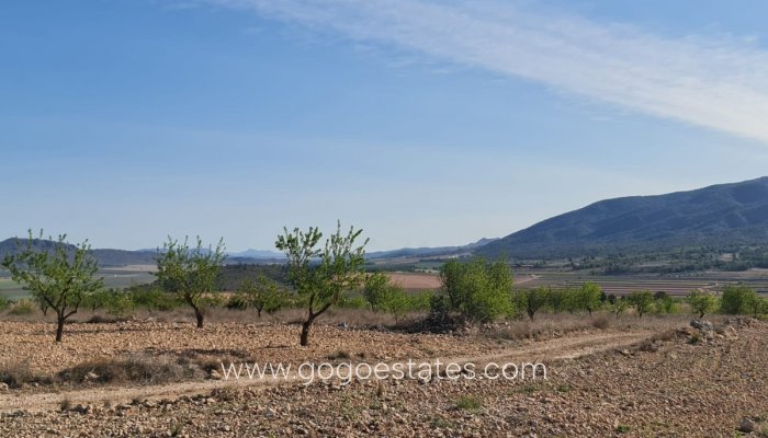 Te koop - Perceel - Land - Yecla - Raspay