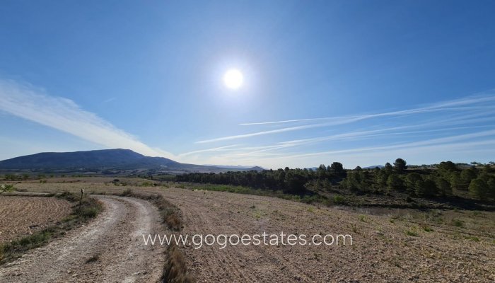 Te koop - Perceel - Land - Yecla - Raspay