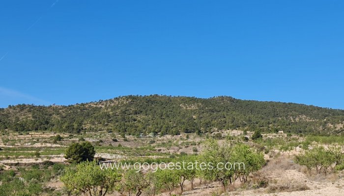 Te koop - Perceel - Land - Yecla - Raspay