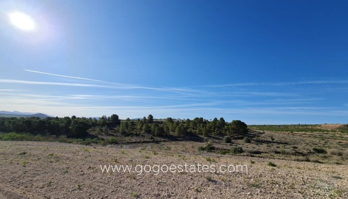 Te koop - Perceel - Land - Yecla - Raspay