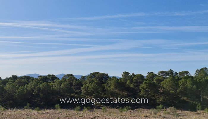 Te koop - Perceel - Land - Yecla - Raspay