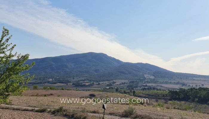 Te koop - Perceel - Land - Yecla - Raspay