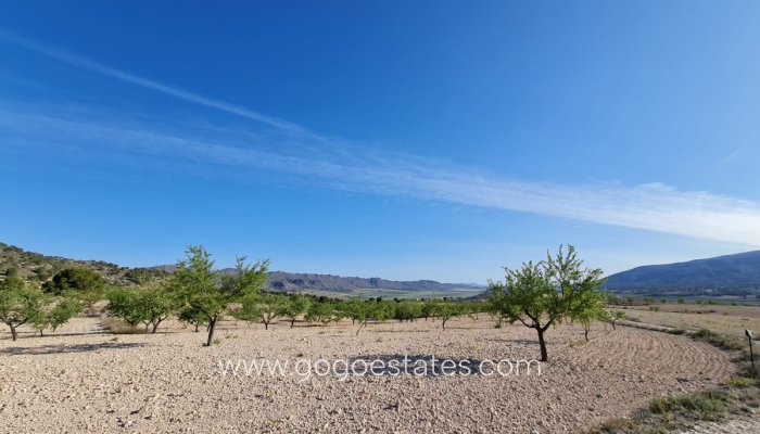 Te koop - Perceel - Land - Yecla - Raspay