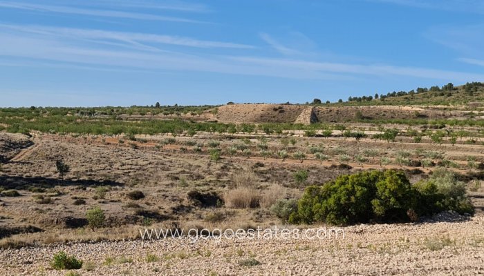 Te koop - Perceel - Land - Yecla - Raspay