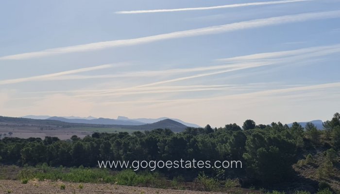 Te koop - Perceel - Land - Yecla - Raspay