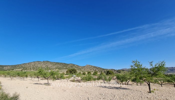 Te koop - Perceel - Land - Yecla - Raspay