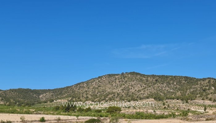 Te koop - Perceel - Land - Yecla - Raspay