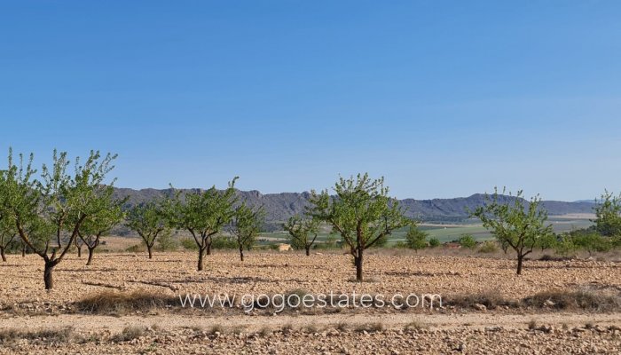 Te koop - Perceel - Land - Yecla - Raspay