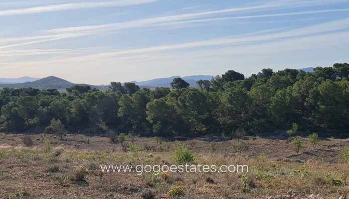 Te koop - Perceel - Land - Yecla - Raspay