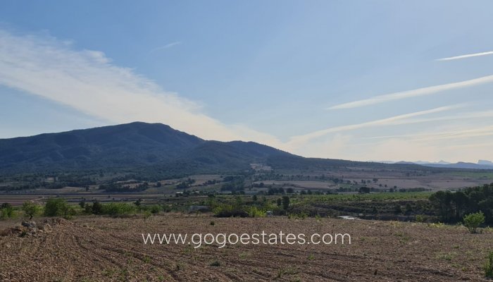 Te koop - Perceel - Land - Yecla - Raspay